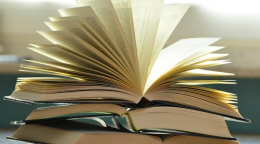 這里有7本教論文寫作的紅寶書