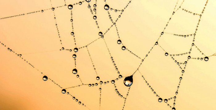 國家自然科學基金寫作：立項依據的總體思路、基本內容和注意點