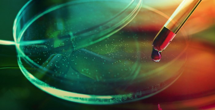2016 拉斯克獎 (Lasker Awards) 表揚在病毒學、生理學以及科學教育方面的杰出工作