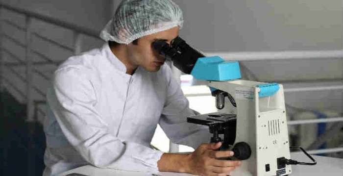 Researchers identify the genes that increase the risk of Type 1 diabetes