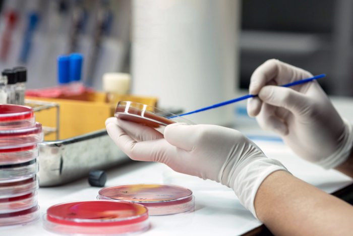 Bacteria advertise to recruit new members to their community, new study suggests