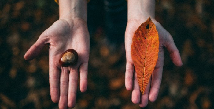 基礎研究與應用科學：你會贊助哪一個？