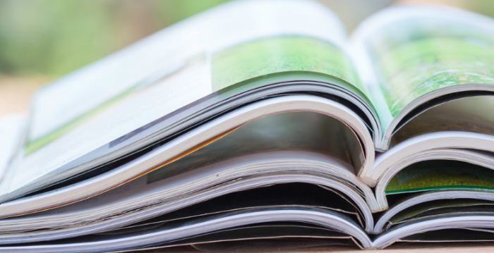 報告顯示中國出版英文期刊的數量正在上升