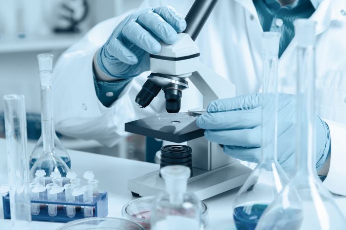 Do immune cells assist in tumor growth? 