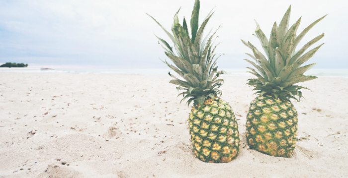 荷蘭國家科研基金 (NWO) 首發資助復制研究的基金