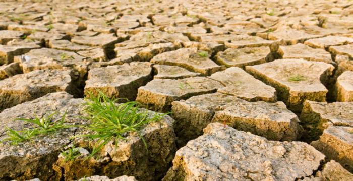 Instant gratification may impede collective efforts to address climate change