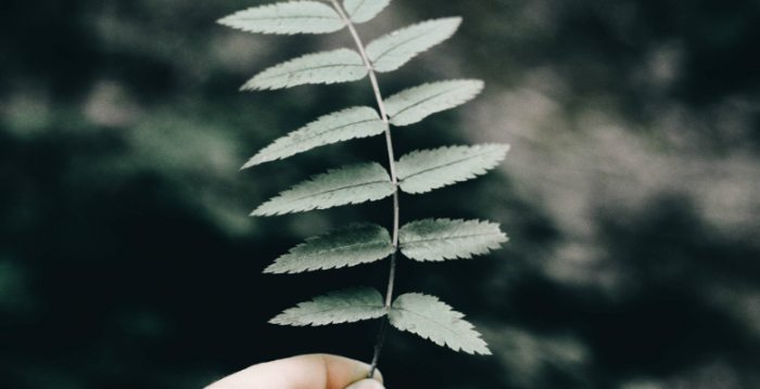 成功科研人的 12 項特質