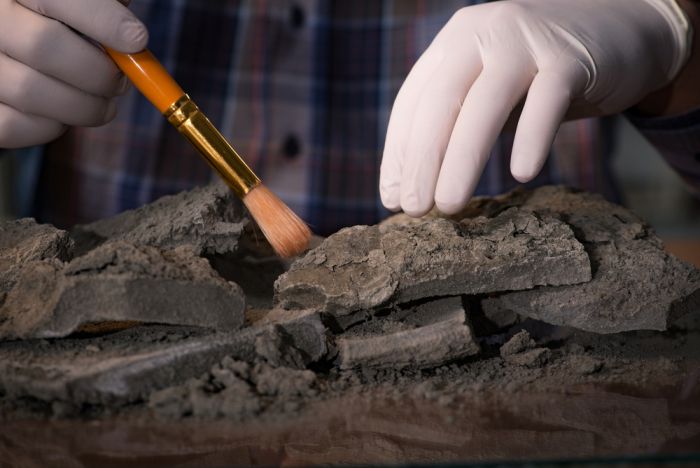 New carbon dating device capable of delivering on-site results
