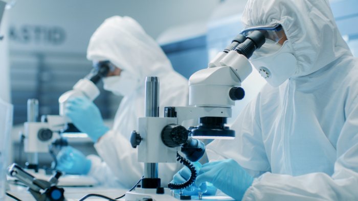 Researchers develop a new techinque to observe live cells in action