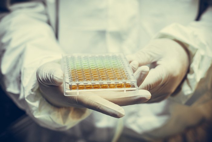 Researchers discover region-selective pluripotent stem cells