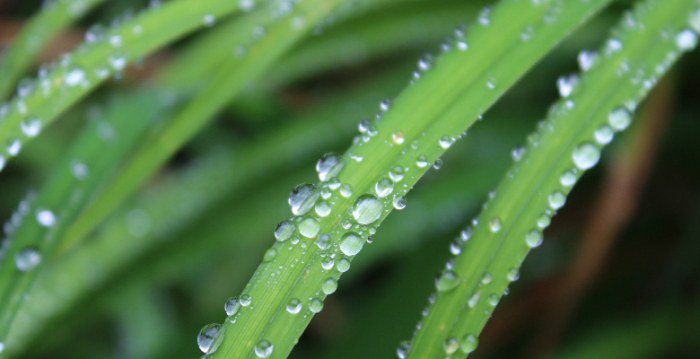 Researchers explain how a droplet moves on a solid surface