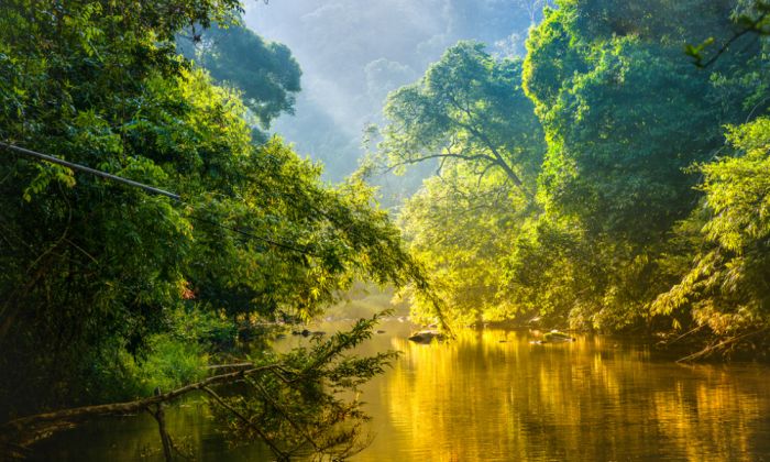 Ten-year long study offers new insights into wildfires in Amazon rainforest