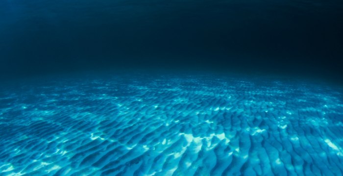 The deepest part of the world’s ocean is far from silent
