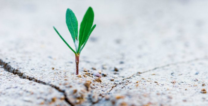 化拒稿為成功發表的力量