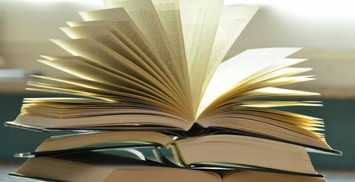 這里有7本教論文寫作的紅寶書
