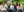 "Cognitive offloading": Is the Internet affecting human memory? "Cognitive offloading": Is the Internet affecting human memory?