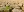 Instant gratification may impede collective efforts to address climate change Instant gratification may impede collective efforts to address climate change