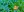 Fish larvae feeding on microplastic particles display altered behavior Fish larvae feeding on microplastic particles display altered behavior