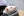 Mouse fetuses injected with Zika virus get microcephaly Mouse fetuses injected with Zika virus get microcephaly