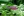 Parts of commercial 3-D printed objects toxic to zebrafish embryos Parts of commercial 3-D printed objects toxic to zebrafish embryos