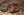 Researchers discover chemicals that regenerate damaged heart cells in mice Researchers discover chemicals that regenerate damaged heart cells in mice