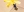 Researchers discover how bees immunize their offspring before birth Researchers discover how bees immunize their offspring before birth