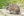 Two sets of neurons discovered that control thirst in mice Two sets of neurons discovered that control thirst in mice